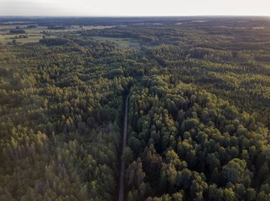 Drone görüntü. alanları ve bulutlu bahar günü ormanlarda kırsal alan hava görünümünü. Letonya