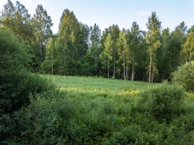 Drone görüntü. alanları ve bulutlu bahar günü ormanlarda kırsal alan hava görünümünü. Letonya