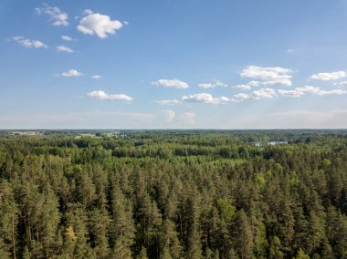 Drone görüntü. alanları ve bulutlu bahar günü ormanlarda kırsal alan hava görünümünü. Letonya