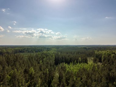 Drone görüntü. alanları ve bulutlu bahar günü ormanlarda kırsal alan hava görünümünü. Letonya