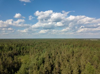 Drone görüntü. alanları ve bulutlu bahar günü ormanlarda kırsal alan hava görünümünü. Letonya