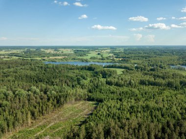 Drone görüntü. alanları ve bulutlu bahar günü ormanlarda kırsal alan hava görünümünü. Letonya