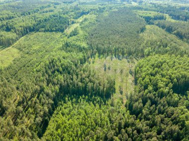 Drone görüntü. alanları ve bulutlu bahar günü ormanlarda kırsal alan hava görünümünü. Letonya