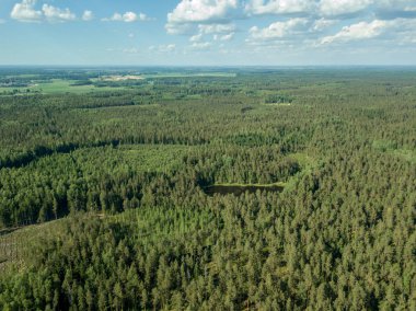 drone görüntü. çakıl yol çam ormanı yukarıdan çevrili. Yaz kırsal Letonya