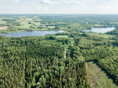 drone görüntü. çakıl yol çam ormanı yukarıdan çevrili. Yaz kırsal Letonya