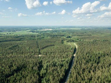 drone görüntü. çakıl yol çam ormanı yukarıdan çevrili. Yaz kırsal Letonya