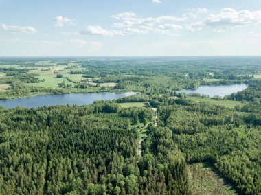 drone görüntü. çam ormanı ve alanları yukarıdan çevrili ülkenin Gölü. yaz günü bataklık alan Letonya