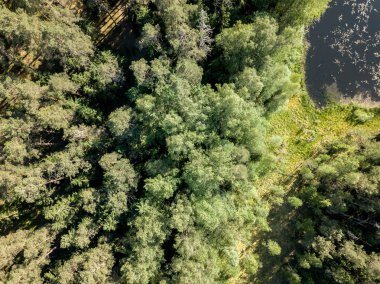Drone görüntü. alanları ve bulutlu bahar günü ormanlarda kırsal alan hava görünümünü. Letonya
