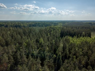 Drone görüntü. alanları ve bulutlu bahar günü ormanlarda kırsal alan hava görünümünü. Letonya