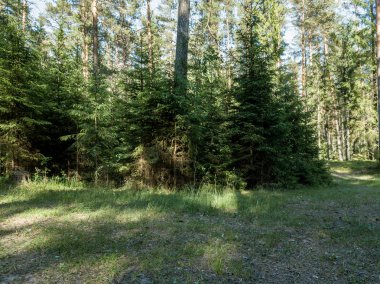 drone görüntü. alanları ve bulutlu bahar günü yolların kırsal alan hava görünümünü. Letonya