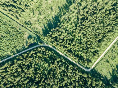drone görüntü. çakıl yol çam ormanı yukarıdan çevrili. Yaz kırsal Letonya
