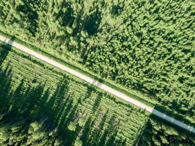 drone görüntü. çakıl yol çam ormanı yukarıdan çevrili. Yaz kırsal Letonya