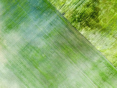 drone görüntü. havadan görünümü boş ekili alanların bahar günü. Letonya