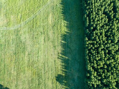 drone görüntü. havadan görünümü boş ekili alanların bahar günü. Letonya