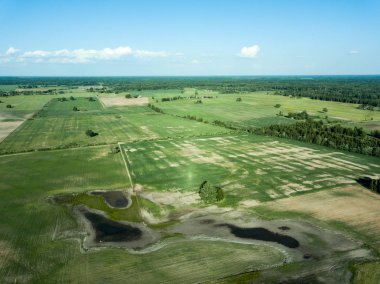 drone görüntü. havadan görünümü boş ekili alanların bahar günü. Letonya