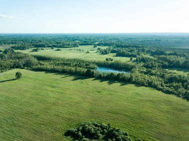 drone görüntü. havadan görünümü boş ekili alanların bahar günü. Letonya