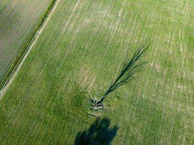 drone görüntü. havadan görünümü kırsal karayolu ağı, ekili alanlar ve orman dokular. Letonya