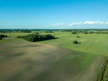 drone görüntü. havadan görünümü boş ekili alanların bahar günü. Letonya