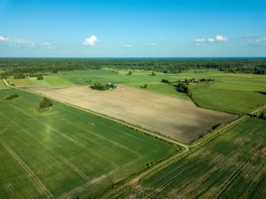 drone görüntü. havadan görünümü boş ekili alanların bahar günü. Letonya