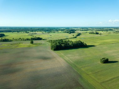 drone görüntü. havadan görünümü boş ekili alanların bahar günü. Letonya