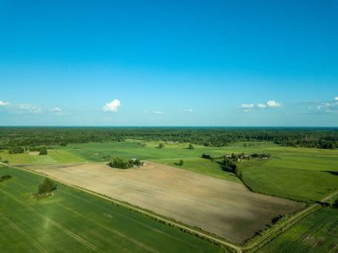 drone görüntü. havadan görünümü kırsal karayolu ağı, ekili alanlar ve orman dokular. Letonya