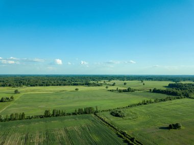 drone görüntü. havadan görünümü boş ekili alanların bahar günü. Letonya