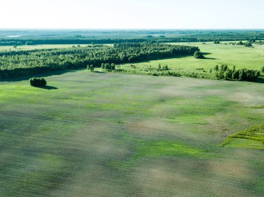 drone görüntü. havadan görünümü boş ekili alanların bahar günü. Letonya