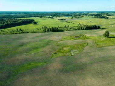 drone görüntü. havadan görünümü boş ekili alanların bahar günü. Letonya