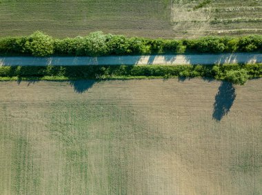 drone görüntü. havadan görünümü kırsal karayolu ağı, ekili alanlar ve orman dokular. Letonya