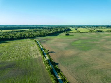 drone görüntü. havadan görünümü kırsal karayolu ağı, ekili alanlar ve orman dokular. Letonya