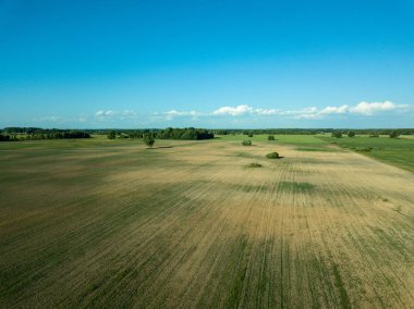 drone görüntü. havadan görünümü boş ekili alanların bahar günü. Letonya