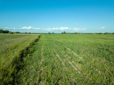 drone görüntü. havadan görünümü boş ekili alanların bahar günü. Letonya