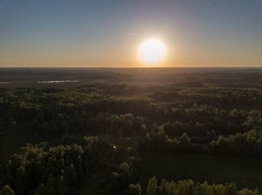 drone görüntü. Orman ağaçları ile uzun gölgeler içinde kırsal günbatımı hava görünümünü. Letonya