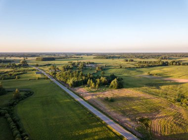 drone görüntü. çam ormanı ve yukarıdan alanlara Letonya çevrili asfalt yol