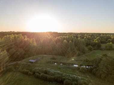 drone görüntü. Orman ağaçları ile uzun gölgeler içinde kırsal günbatımı hava görünümünü. Letonya
