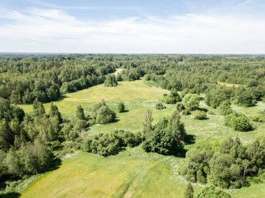 Drone görüntü. alanları ve bulutlu bahar günü ormanlarda kırsal alan hava görünümünü. Letonya