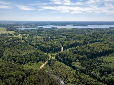 drone görüntü. çakıl yol çam ormanı yukarıdan çevrili. Yaz kırsal Letonya