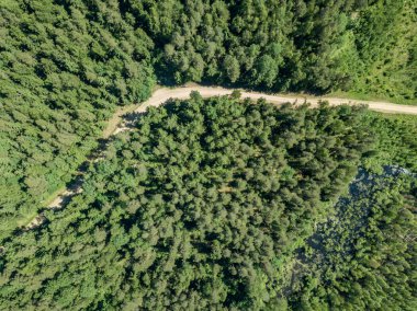 drone görüntü. çakıl yol çam ormanı yukarıdan çevrili. Yaz kırsal Letonya
