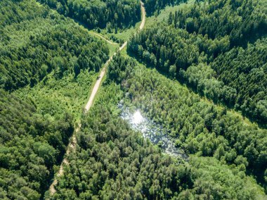drone görüntü. çakıl yol çam ormanı yukarıdan çevrili. Yaz kırsal Letonya