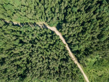 drone görüntü. çakıl yol çam ormanı yukarıdan çevrili. Yaz kırsal Letonya
