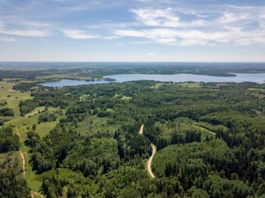 drone görüntü. havadan görünümü kırsal karayolu ağı, ekili alanlar ve orman dokular. Letonya