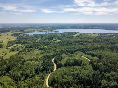 drone görüntü. havadan görünümü kırsal karayolu ağı, ekili alanlar ve orman dokular. Letonya