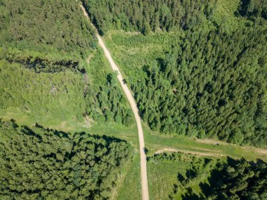 drone görüntü. çakıl yol çam ormanı yukarıdan çevrili. Yaz kırsal Letonya