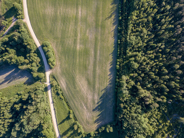 Drone image. asphalt road surrounded by pine forest and fields from above in latvia