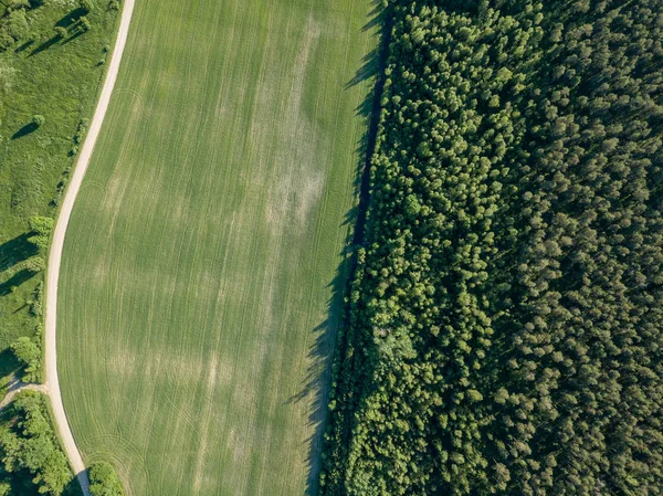 Drohnenbild Luftaufnahme Des Ländlichen Straßennetzes Bestellter Felder Und Waldstrukturen Lettland — Stockfoto