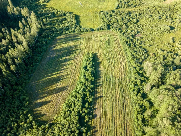 Imagem Drone Vista Aérea Área Rural Com Campos Florestas Dia — Fotografia de Stock