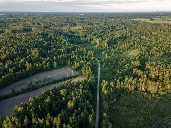 drone image. gravel road surrounded by pine forest from above. summer countryside in Latvia