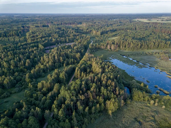 drone image. country lake surrounded by pine forest and fields from above. summer day in swamp area in Latvia