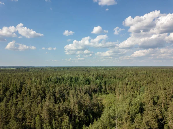 Afbeelding Van Drone Luchtfoto Van Landelijke Omgeving Met Akkers Bossen — Stockfoto