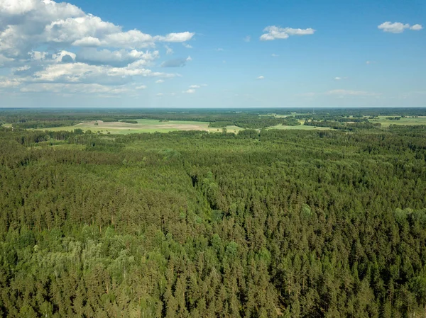 Drone Kép Légi Felvétel Vidék Mezők Erdők Felhős Tavasz Lettország — Stock Fotó